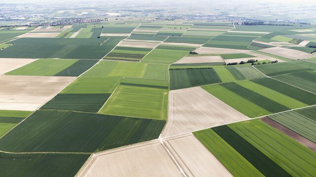 large-areal-of-fields-small
